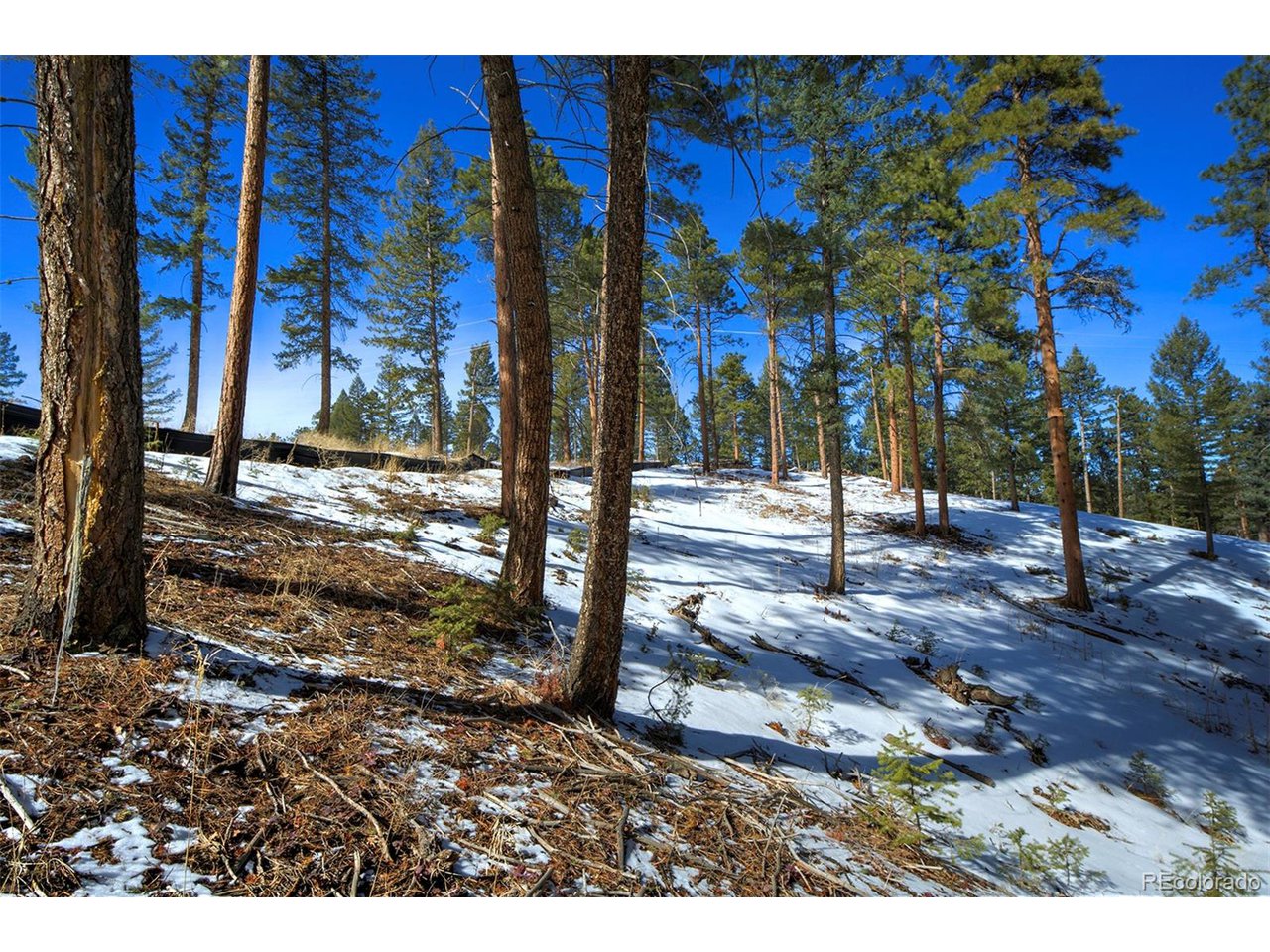 4 Iowa Gulch Road Morrison, CO 80465 - Photo 14 of 17