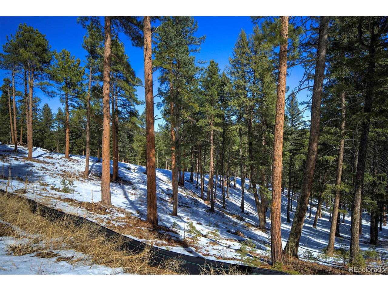 4 Iowa Gulch Road Morrison, CO 80465 - Photo 15 of 17