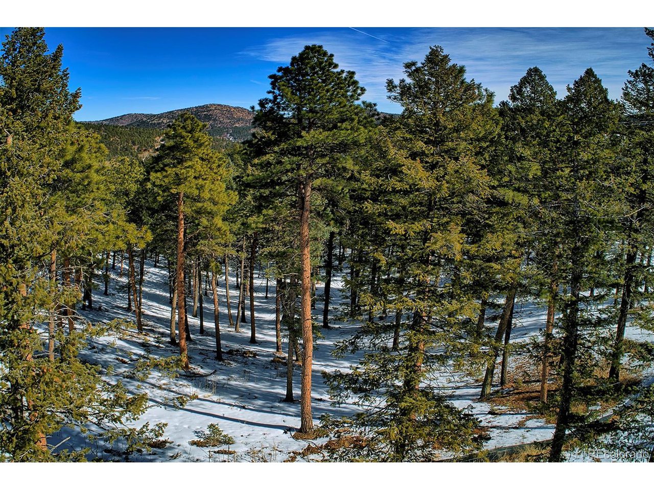 4 Iowa Gulch Road Morrison, CO 80465 - Photo 16 of 17