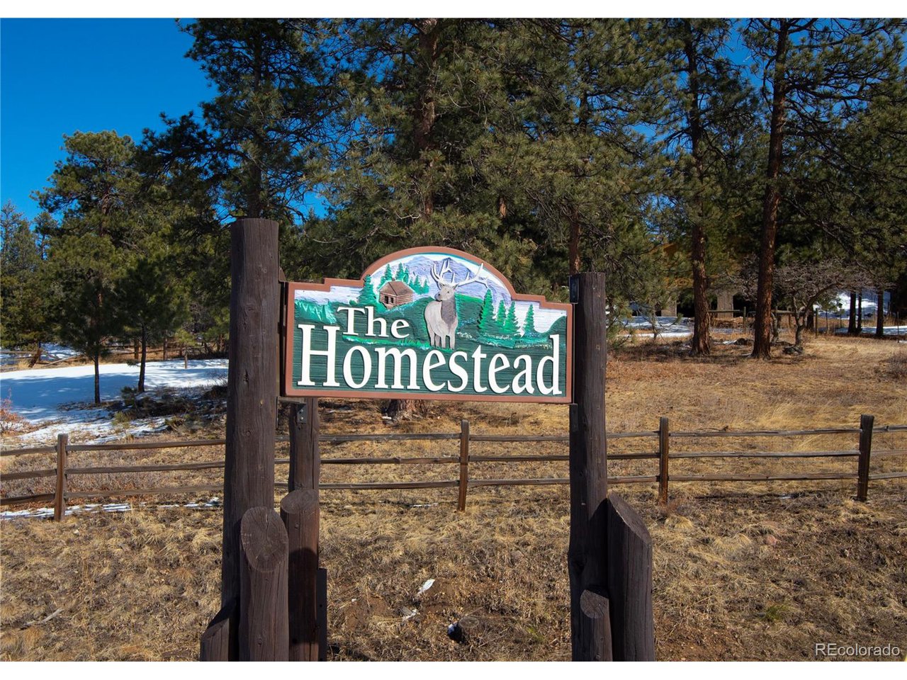 4 Iowa Gulch Road Morrison, CO 80465 - Photo 17 of 17