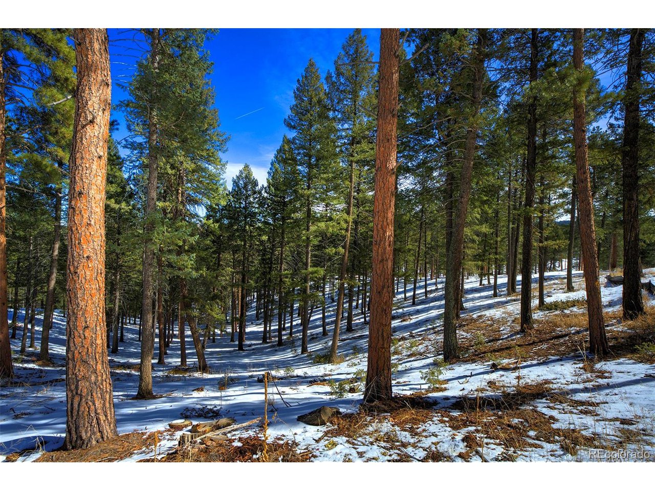 4 Iowa Gulch Road Morrison, CO 80465 - Photo 2 of 17