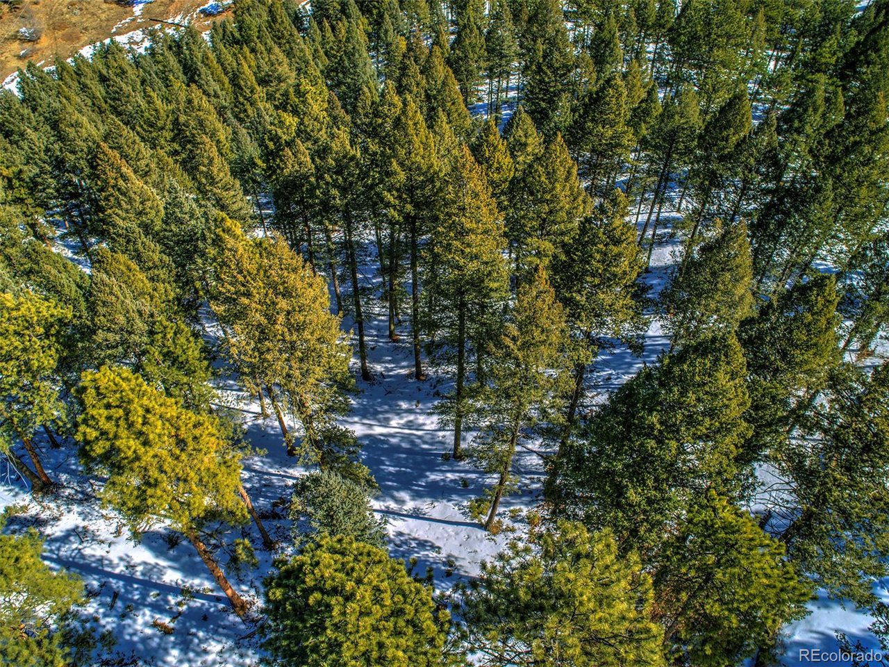 4 Iowa Gulch Road Morrison, CO 80465 - Photo 3 of 17