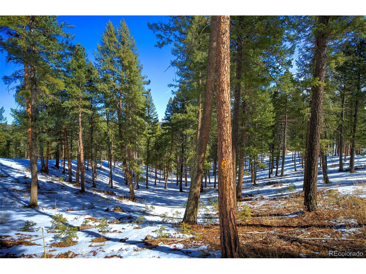 4 Iowa Gulch Road Morrison, CO 80465 - Photo 4 of 17