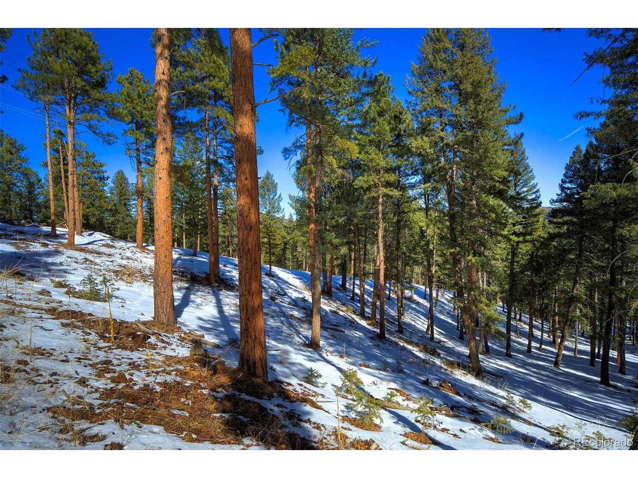 4 Iowa Gulch Road Morrison, CO 80465 - Photo 6 of 17