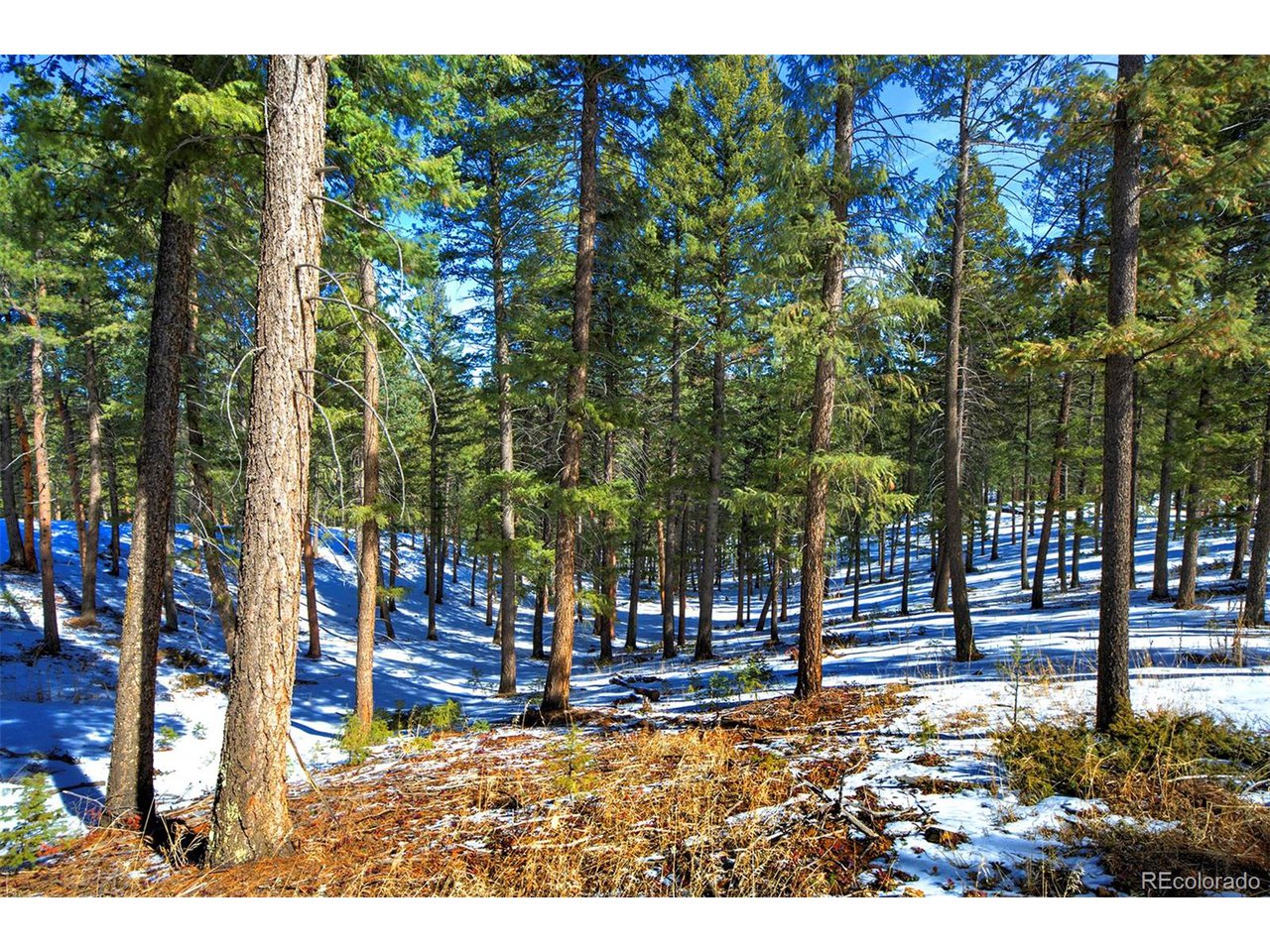 4 Iowa Gulch Road Morrison, CO 80465 - Photo 7 of 17