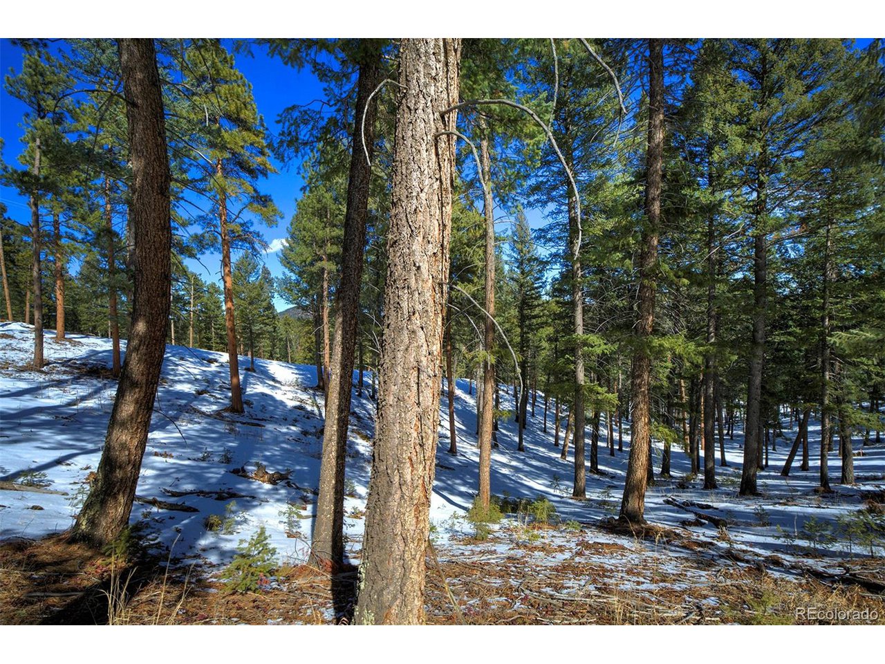 4 Iowa Gulch Road Morrison, CO 80465 - Photo 9 of 17