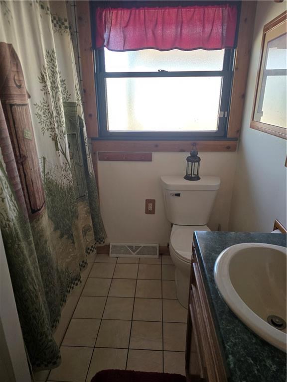 141 Hall Road Slippery Rock, PA 16057 - Photo 18 of 28 a bathroom with a sink a toilet and a shower