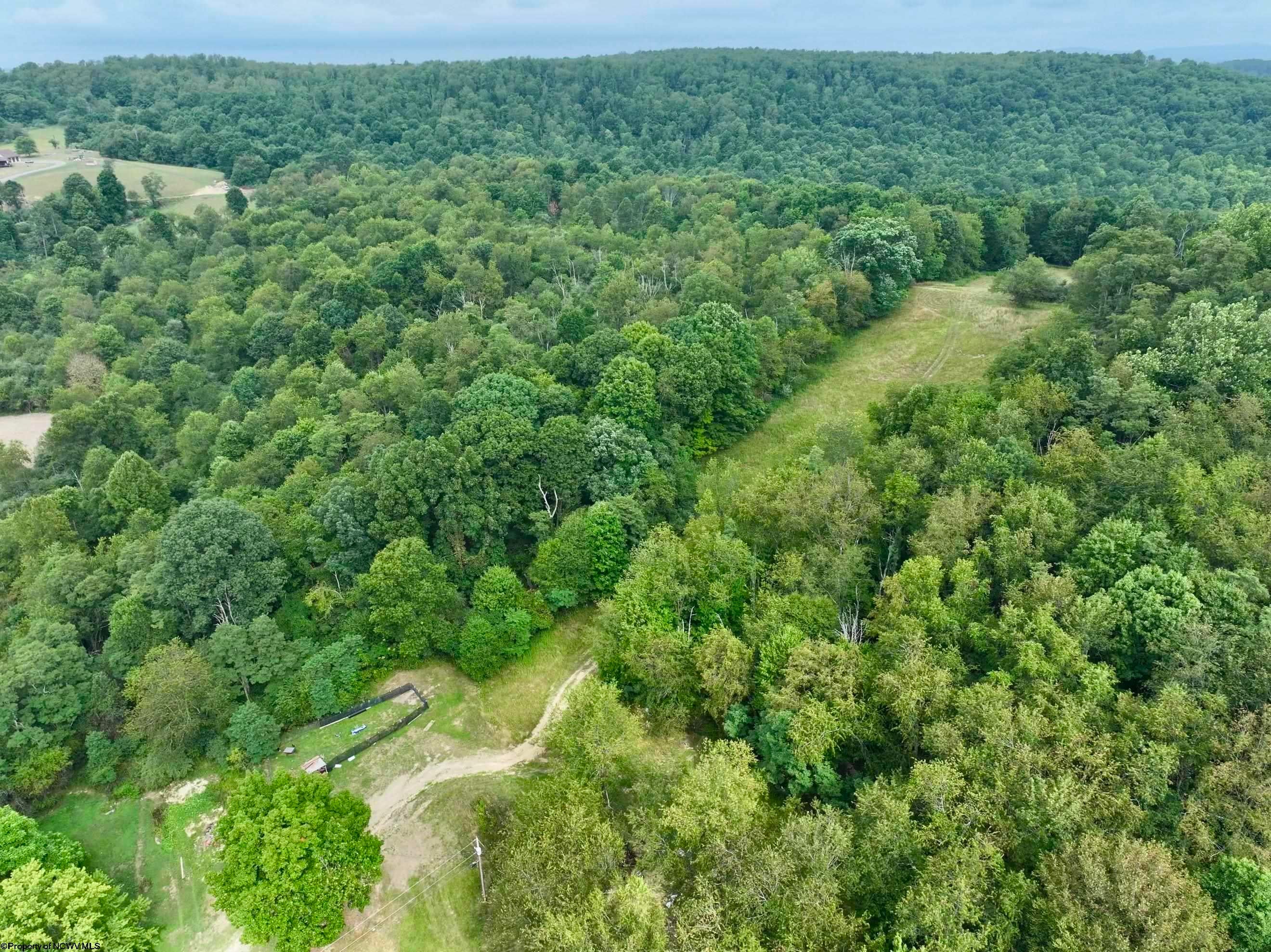 Tbd Hudson Road Albright, WV 26519 - Photo 10 of 13 Gallery Image 10