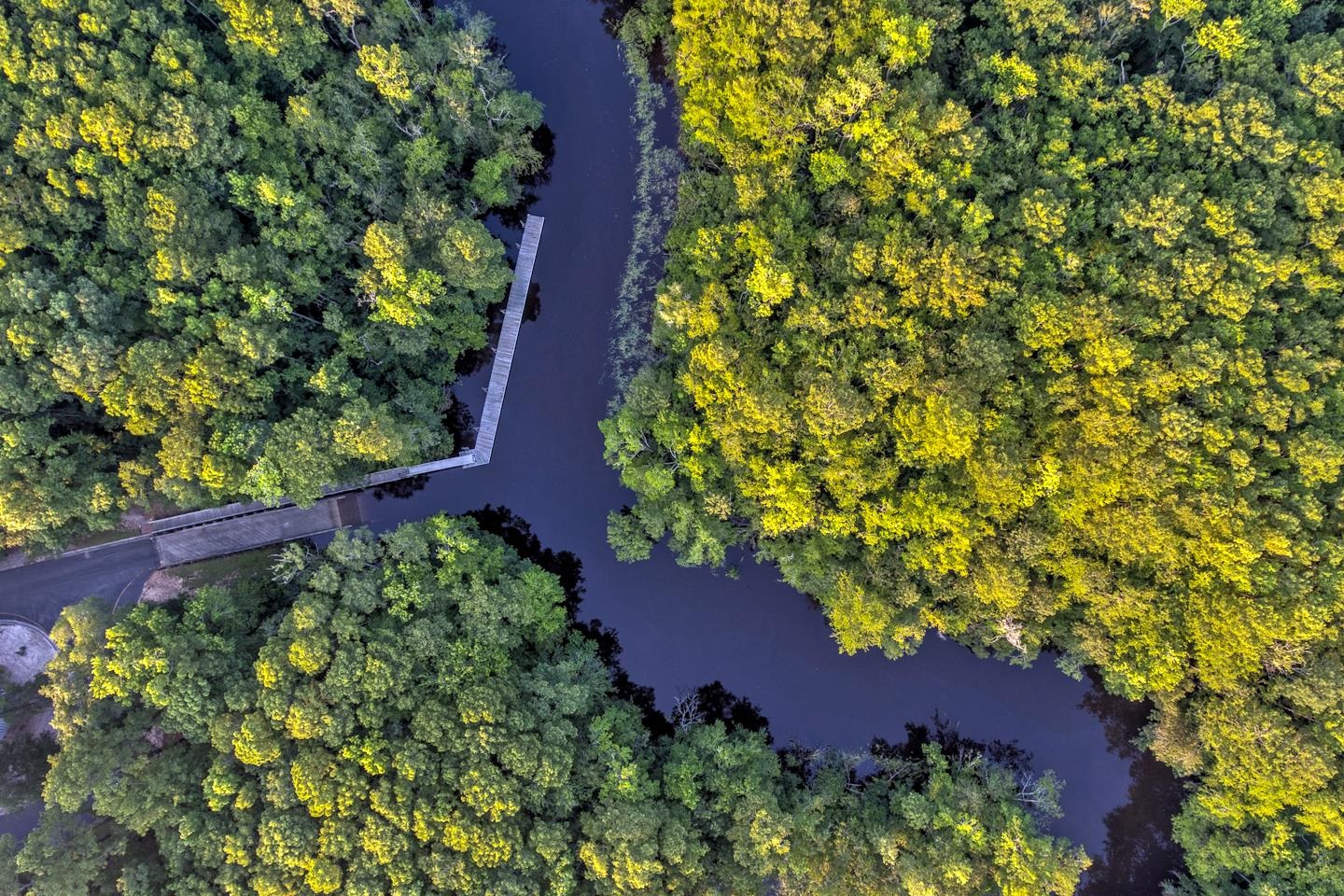 5 Stonington Drive Murrells Inlet, SC 29576 - Photo 66 of 72