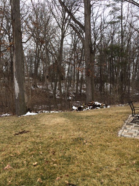 3109 Cedar Ridge Run Fort Wayne, IN 46808 - Photo 9 of 27 Gallery Image 9