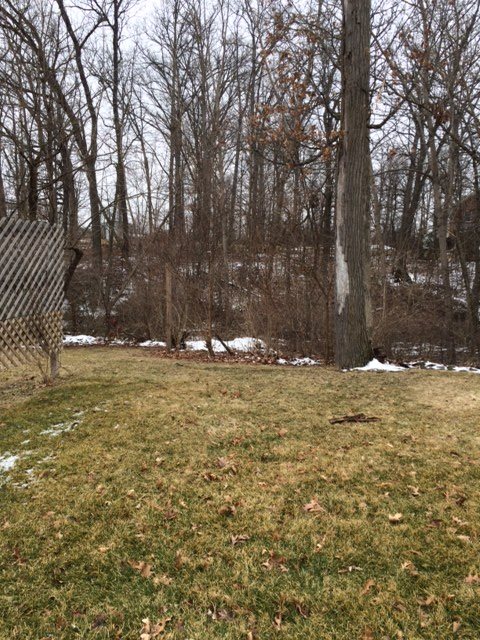 3109 Cedar Ridge Run Fort Wayne, IN 46808 - Photo 10 of 27 Gallery Image 10