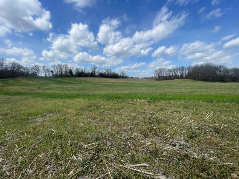 2375 Antioch Church Road Alvaton, KY 42122 - Photo 12 of 26 Gallery Image 12