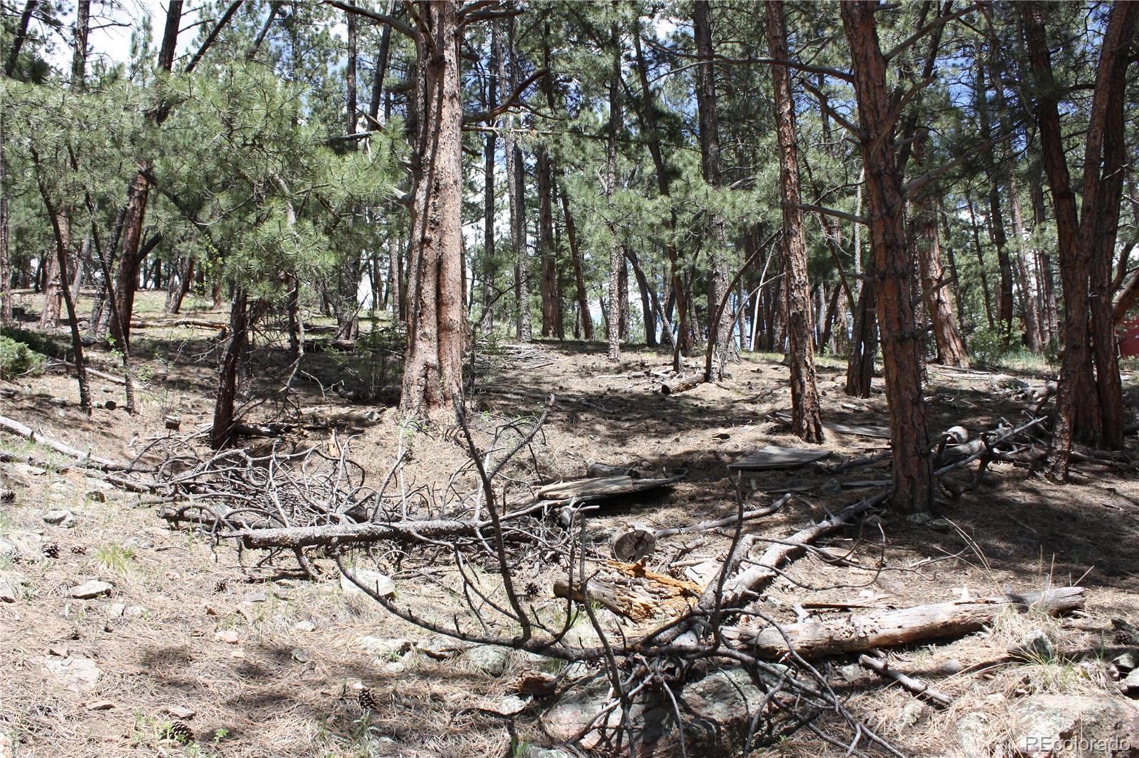 27425 Troublesome Gulch Road Evergreen, CO 80439 - Photo 6 of 7 Gallery Image 6
