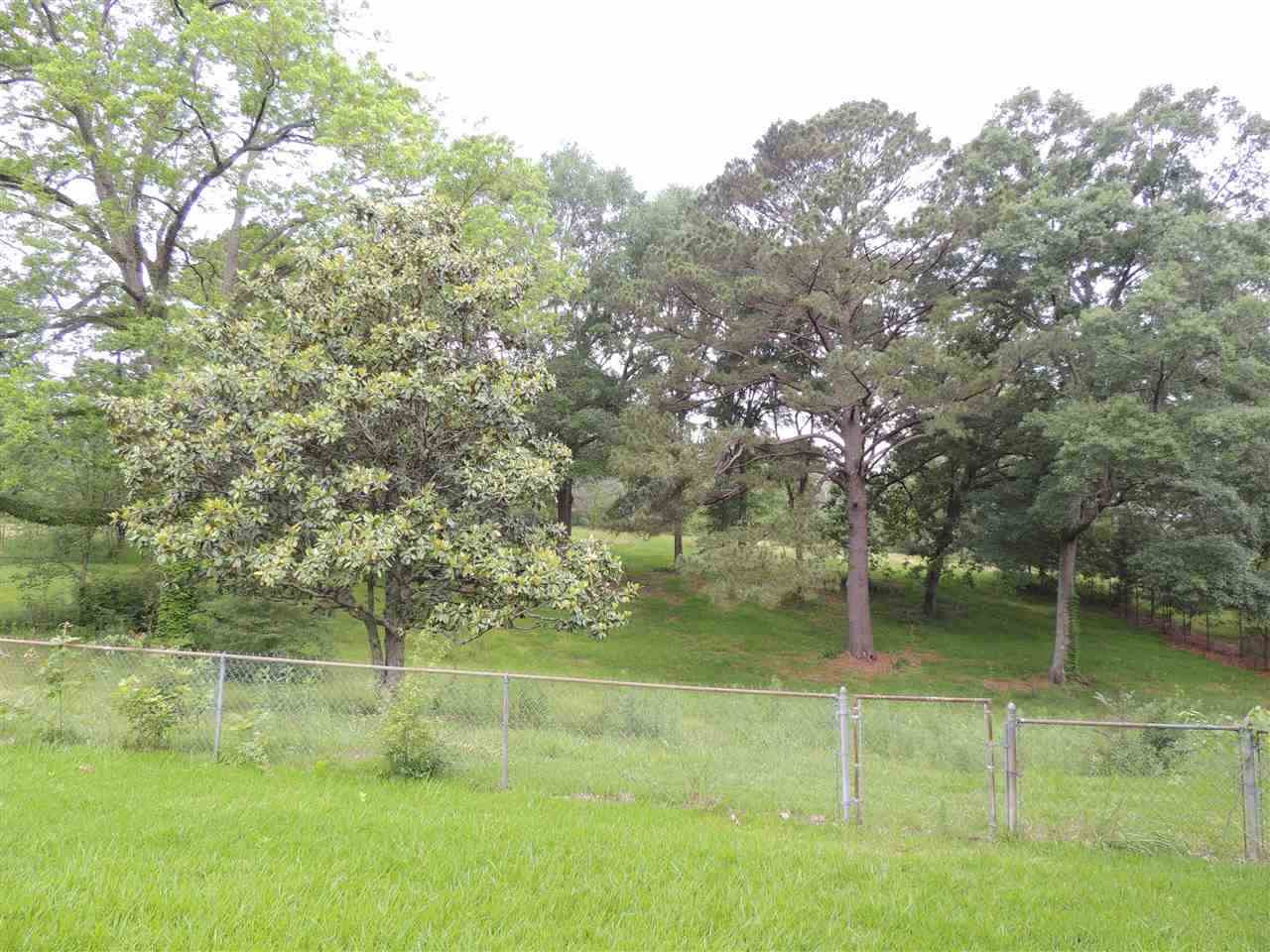 4673 Raymond Bolton Road Bolton, MS 39041 - Photo 4 of 9 Photo 4