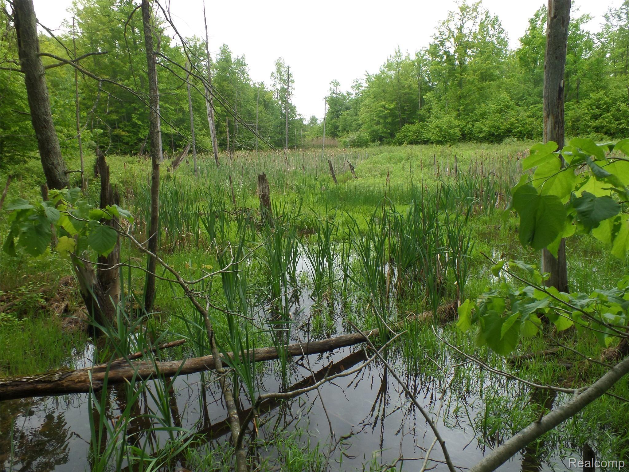 13445 Shippy Road Southwest Fife Lake, MI 49633 - Photo 29 of 80 SAM_9242.JPG