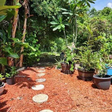 a view of a backyard with plants and potted plants