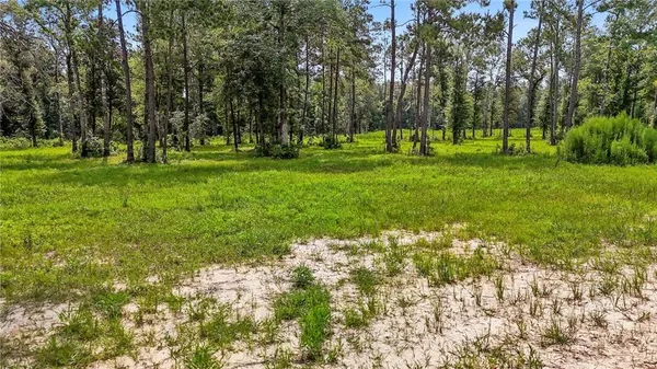 $80,000 | 39492 Lee's Landing Road, Ponchatoula, LA 70454