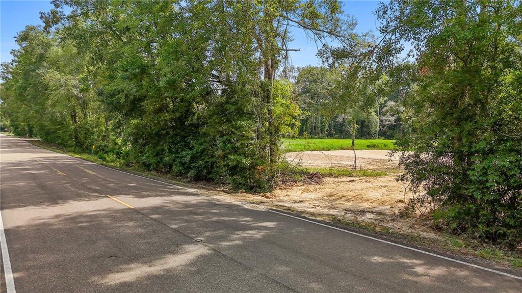 39492 Lee's Landing Road Ponchatoula, LA 70454 - Photo 13 of 14