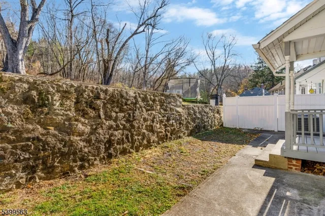 a view of a yard with plants and trees