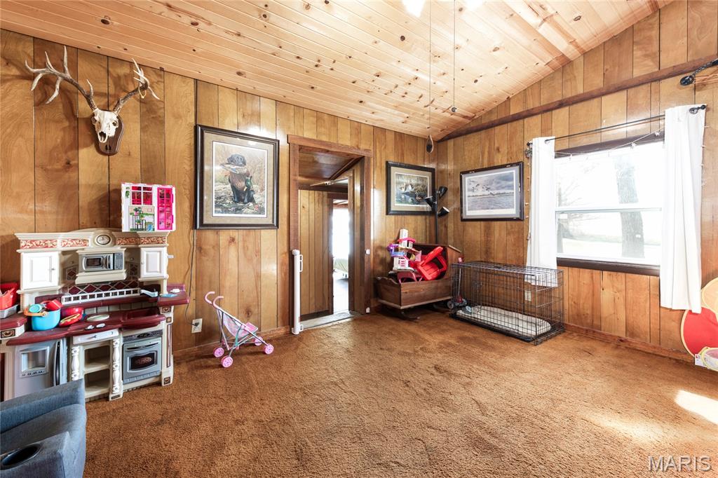 2865 Lim Long Lane Nebo, IL 62355 - Photo 30 of 85