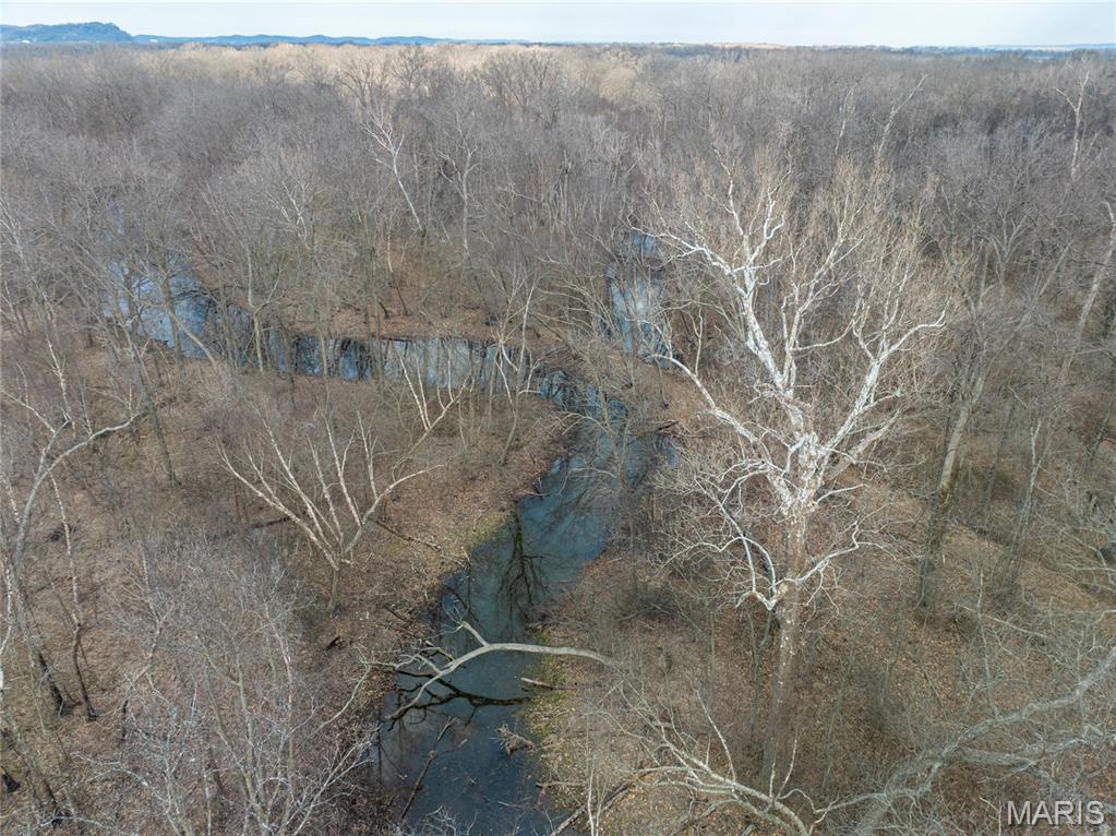 2865 Lim Long Lane Nebo, IL 62355 - Photo 3 of 85