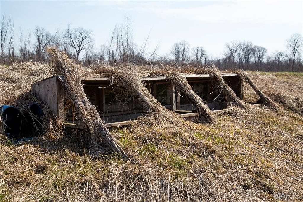 2865 Lim Long Lane Nebo, IL 62355 - Photo 40 of 85