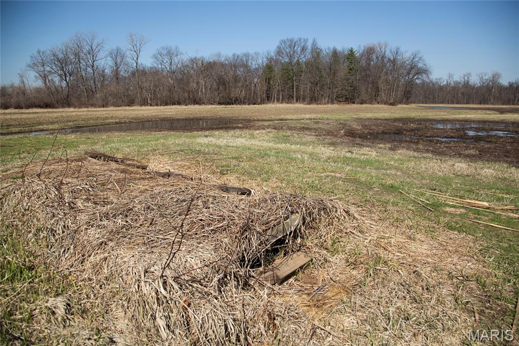 2865 Lim Long Lane Nebo, IL 62355 - Photo 42 of 85