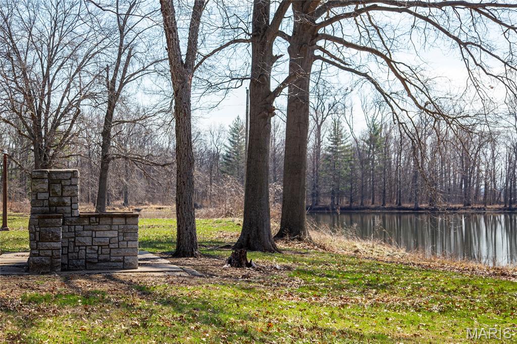 2865 Lim Long Lane Nebo, IL 62355 - Photo 44 of 85