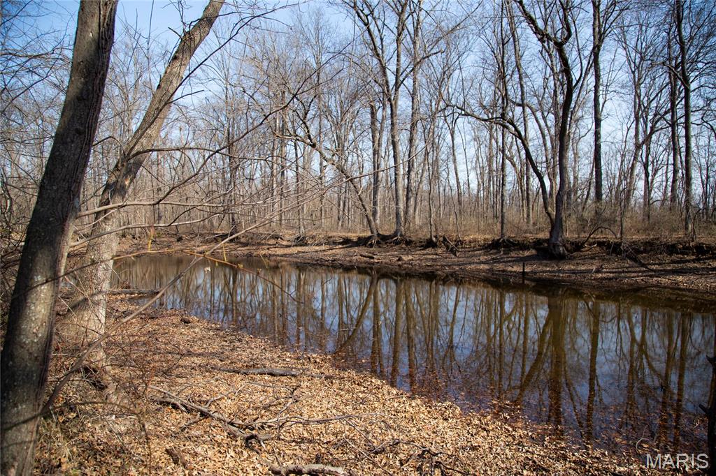 2865 Lim Long Lane Nebo, IL 62355 - Photo 45 of 85
