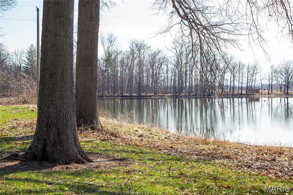2865 Lim Long Lane Nebo, IL 62355 - Photo 46 of 85