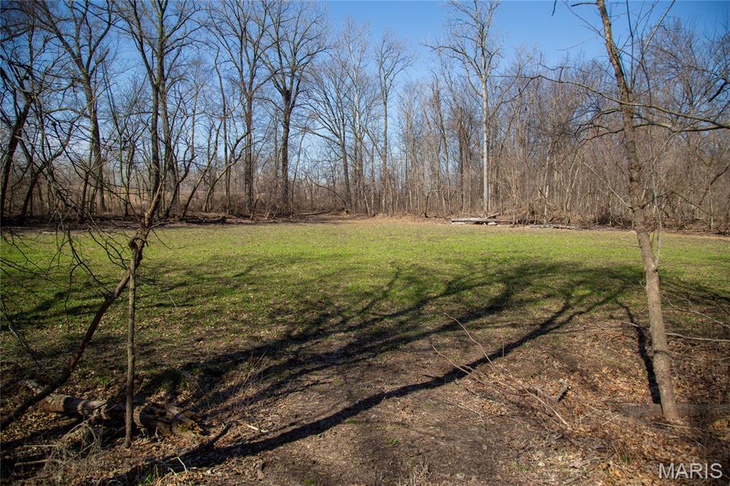 2865 Lim Long Lane Nebo, IL 62355 - Photo 49 of 85