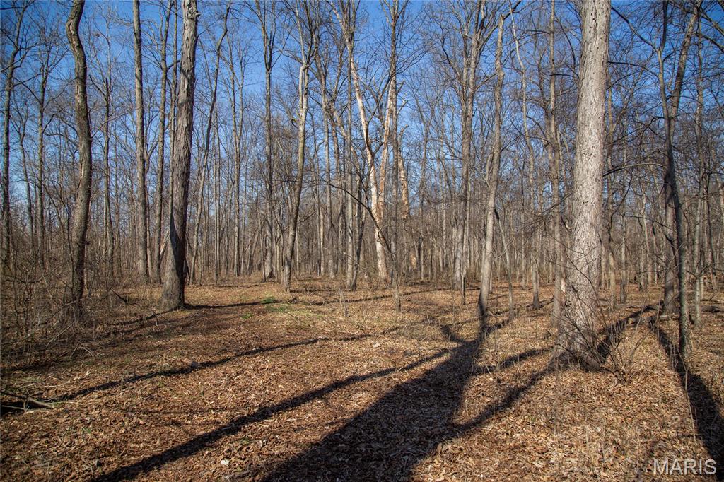 2865 Lim Long Lane Nebo, IL 62355 - Photo 50 of 85