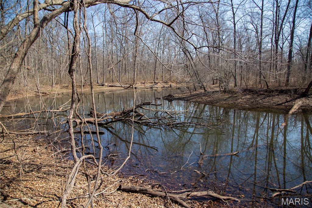 2865 Lim Long Lane Nebo, IL 62355 - Photo 51 of 85