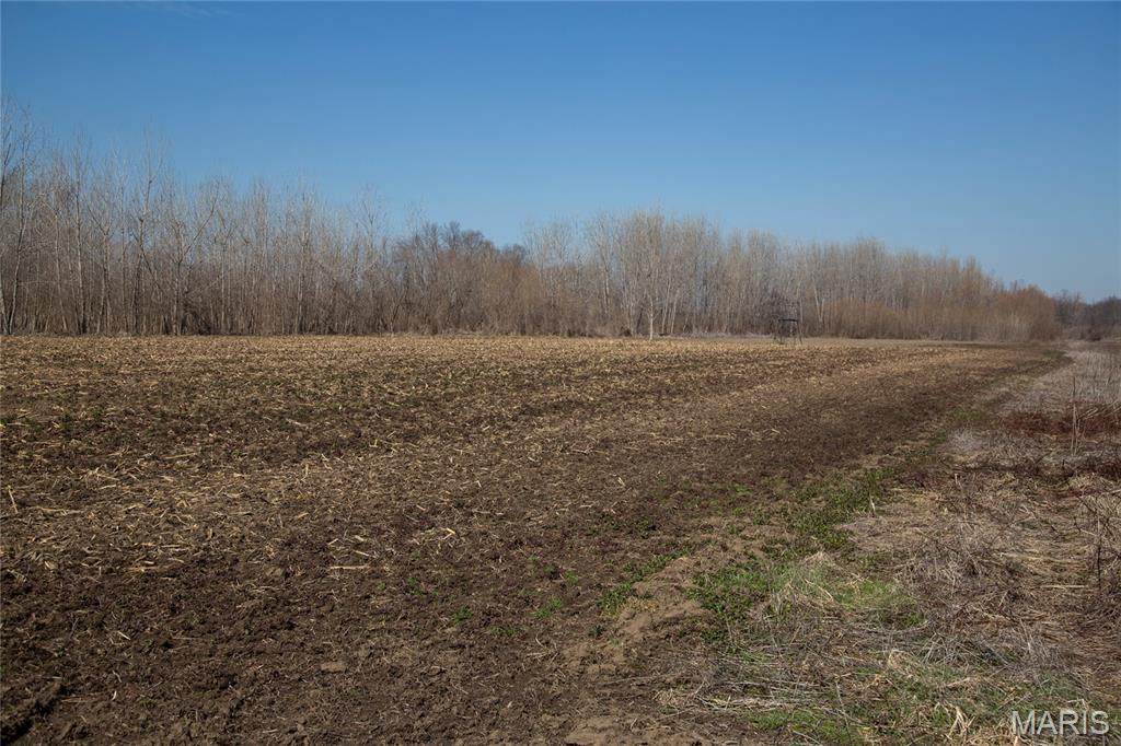 2865 Lim Long Lane Nebo, IL 62355 - Photo 52 of 85