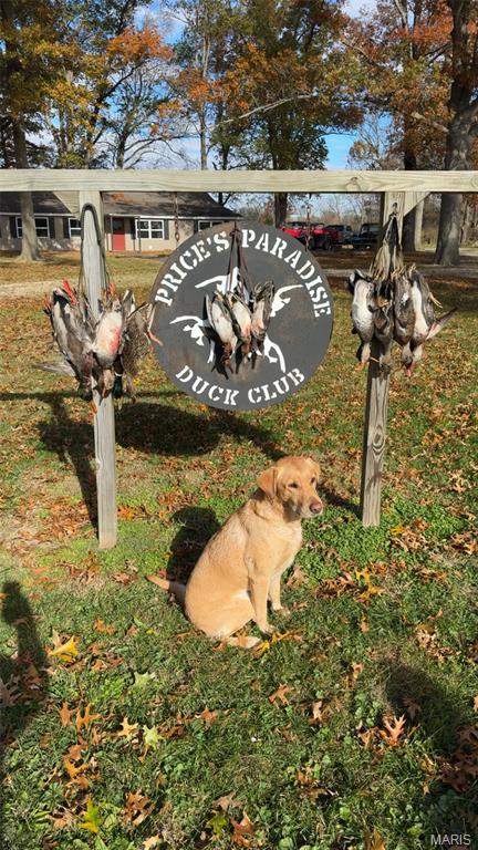 2865 Lim Long Lane Nebo, IL 62355 - Photo 58 of 85