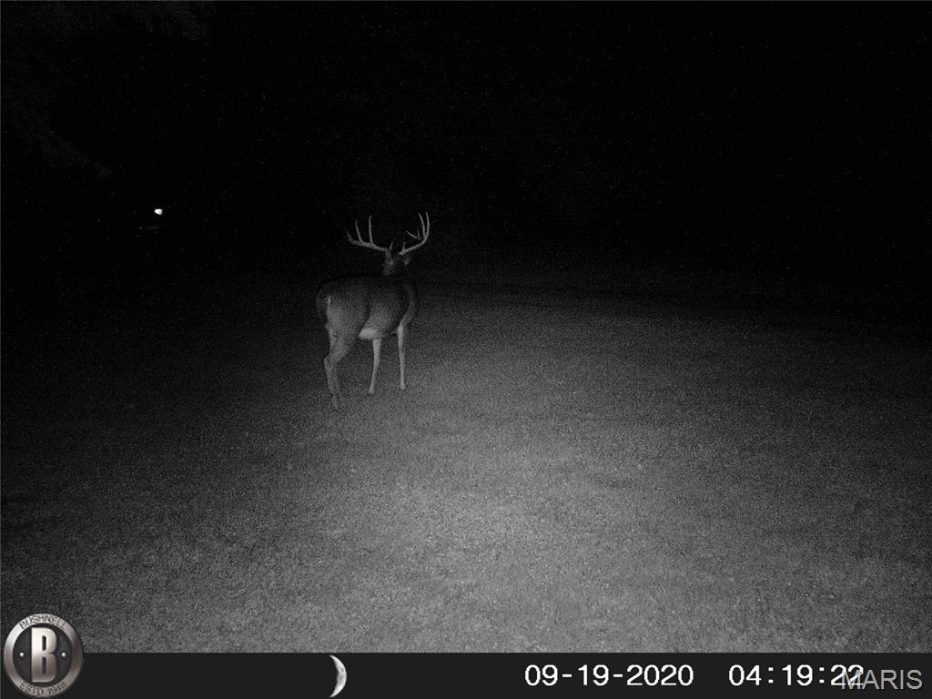 2865 Lim Long Lane Nebo, IL 62355 - Photo 59 of 85