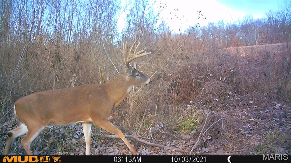 2865 Lim Long Lane Nebo, IL 62355 - Photo 60 of 85
