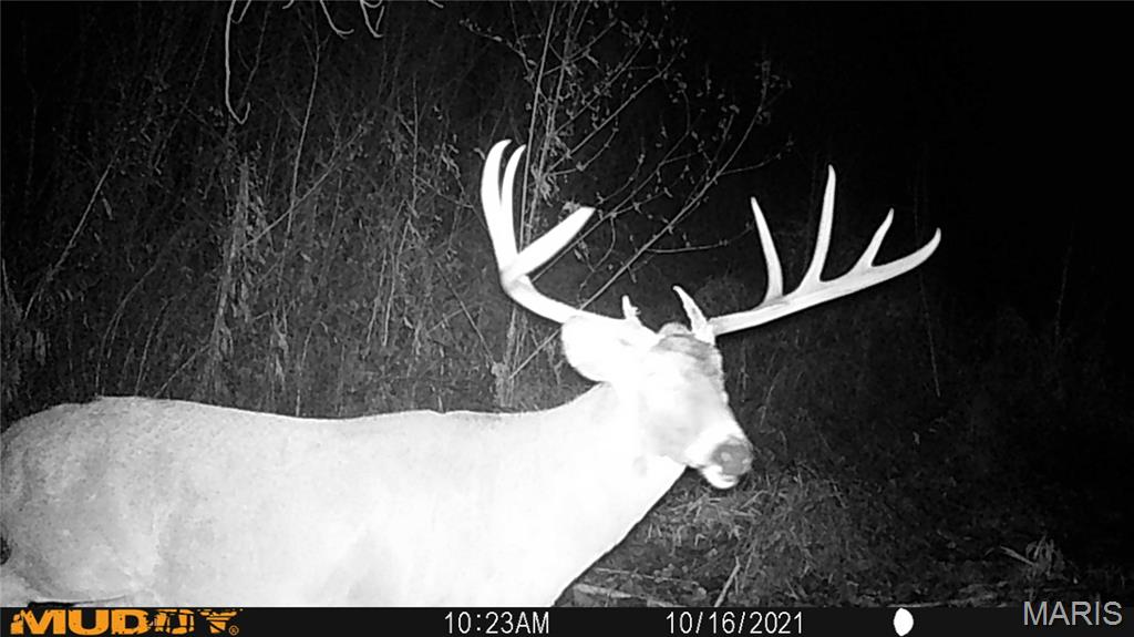 2865 Lim Long Lane Nebo, IL 62355 - Photo 63 of 85