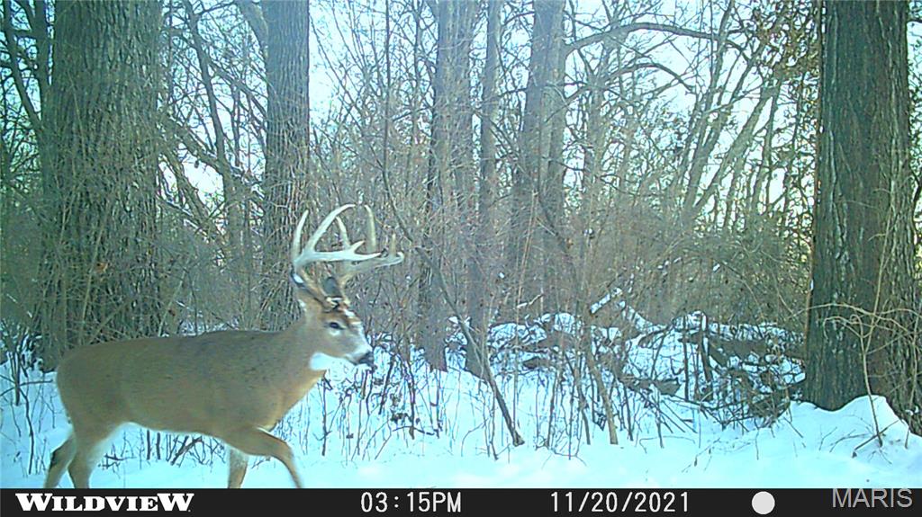 2865 Lim Long Lane Nebo, IL 62355 - Photo 69 of 85