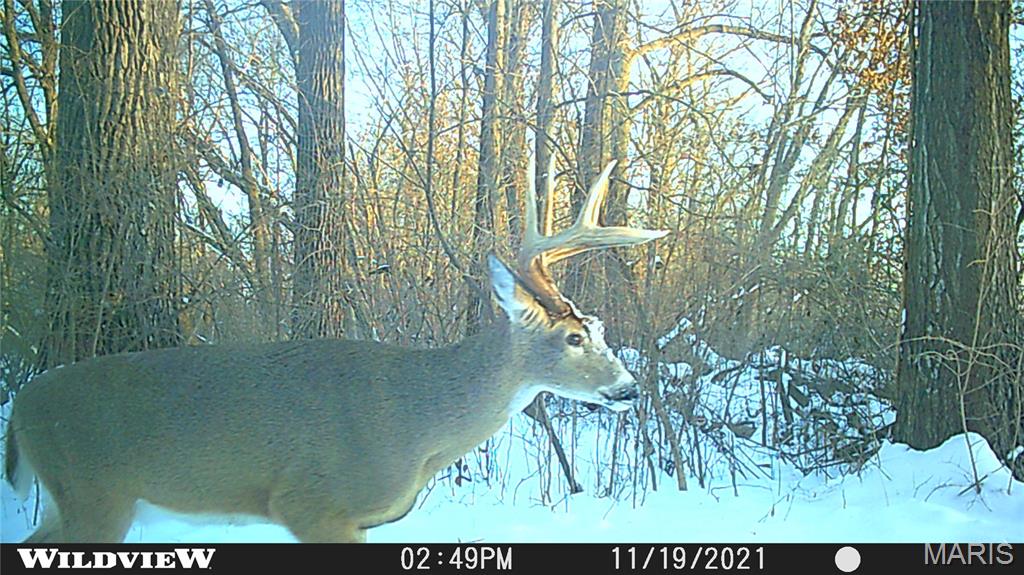 2865 Lim Long Lane Nebo, IL 62355 - Photo 71 of 85