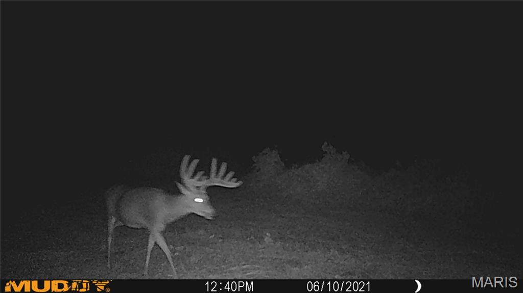 2865 Lim Long Lane Nebo, IL 62355 - Photo 72 of 85