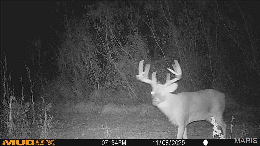 2865 Lim Long Lane Nebo, IL 62355 - Photo 74 of 85