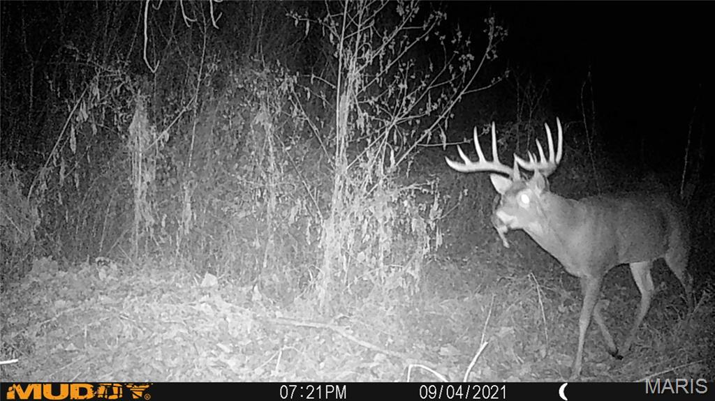 2865 Lim Long Lane Nebo, IL 62355 - Photo 75 of 85