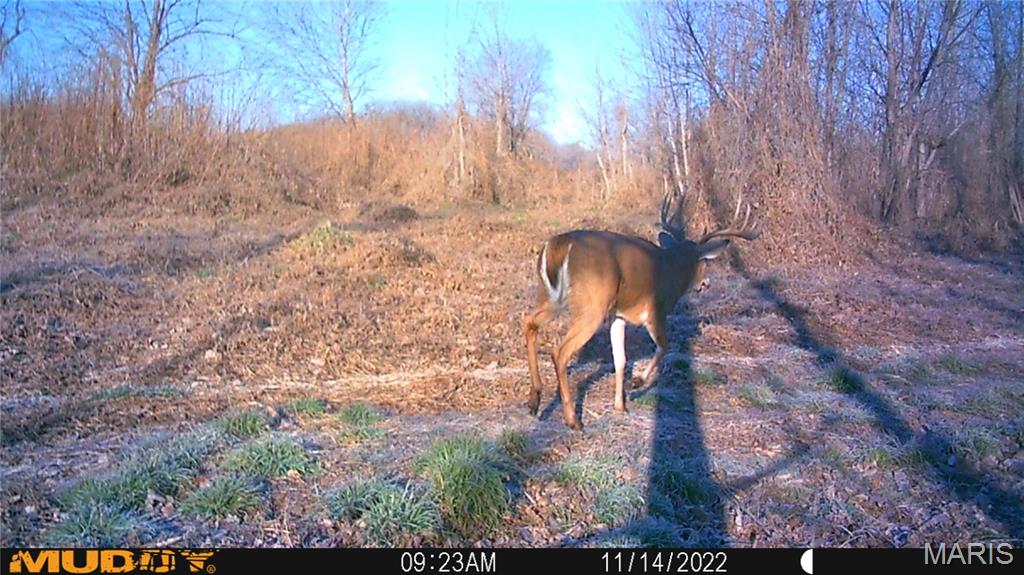 2865 Lim Long Lane Nebo, IL 62355 - Photo 78 of 85