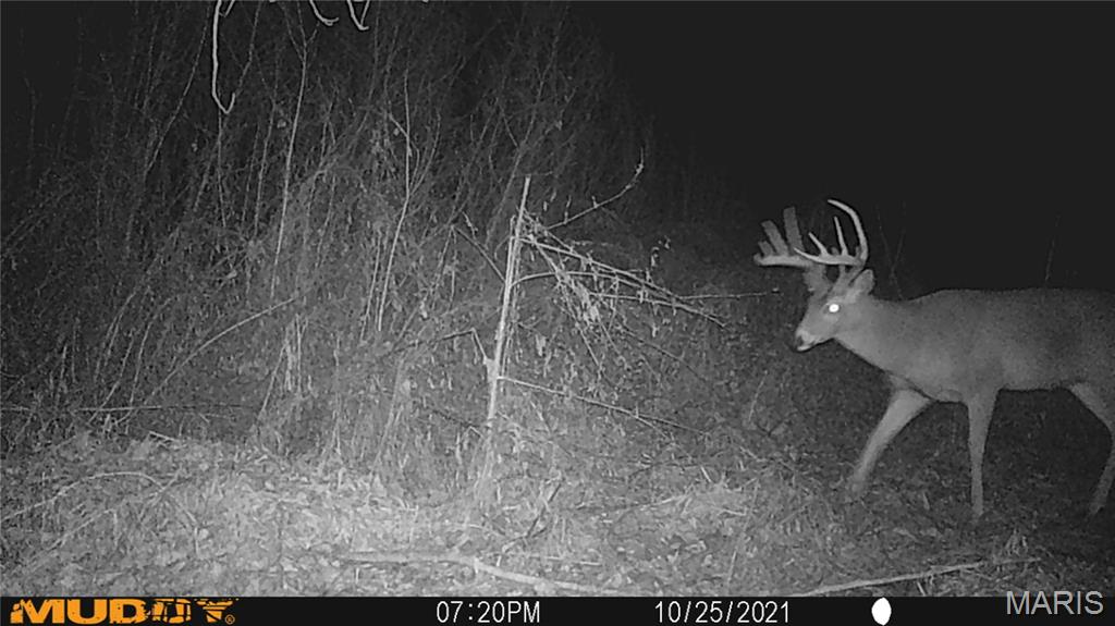 2865 Lim Long Lane Nebo, IL 62355 - Photo 79 of 85
