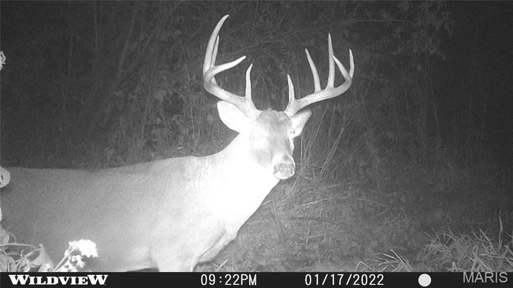 2865 Lim Long Lane Nebo, IL 62355 - Photo 84 of 85