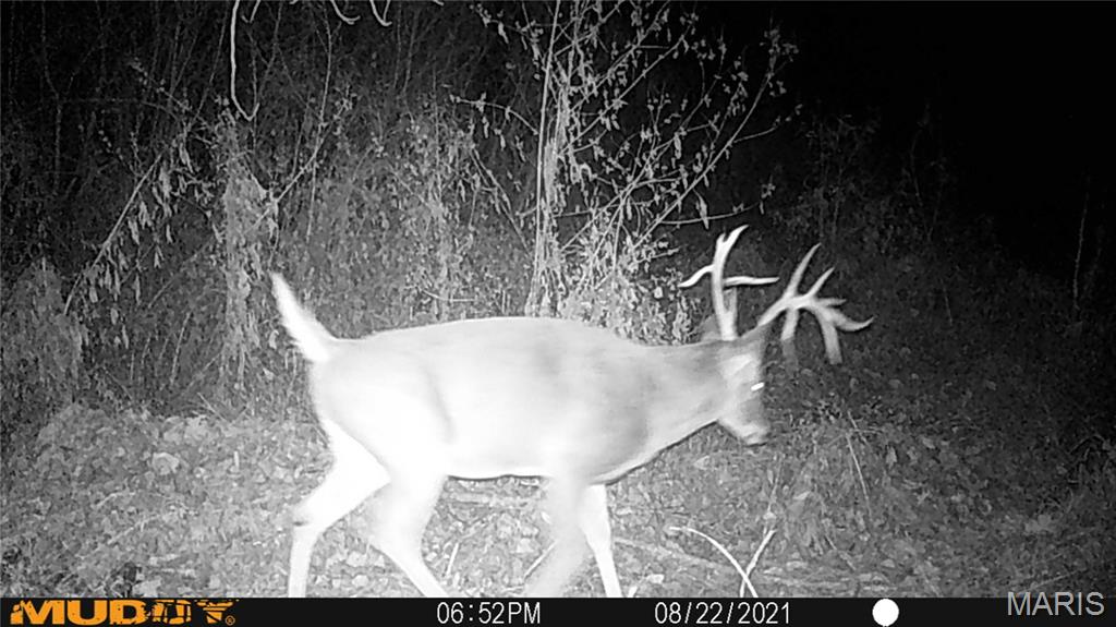 2865 Lim Long Lane Nebo, IL 62355 - Photo 85 of 85