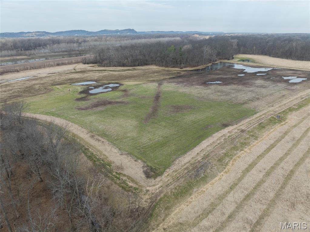 2865 Lim Long Lane Nebo, IL 62355 - Photo 9 of 85