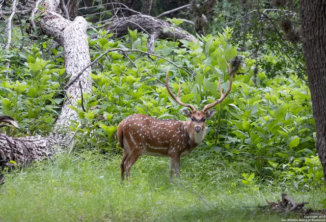 a backyard of a house with a yard and outdoor seating
