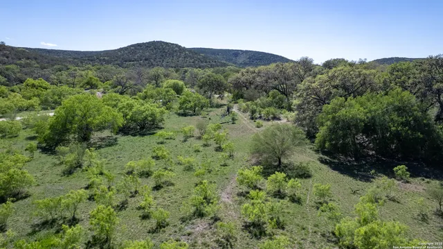 a view of a lush green forest with trees in the background